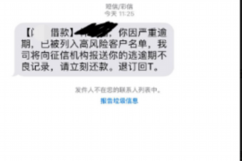 绍兴为什么选择专业追讨公司来处理您的债务纠纷？